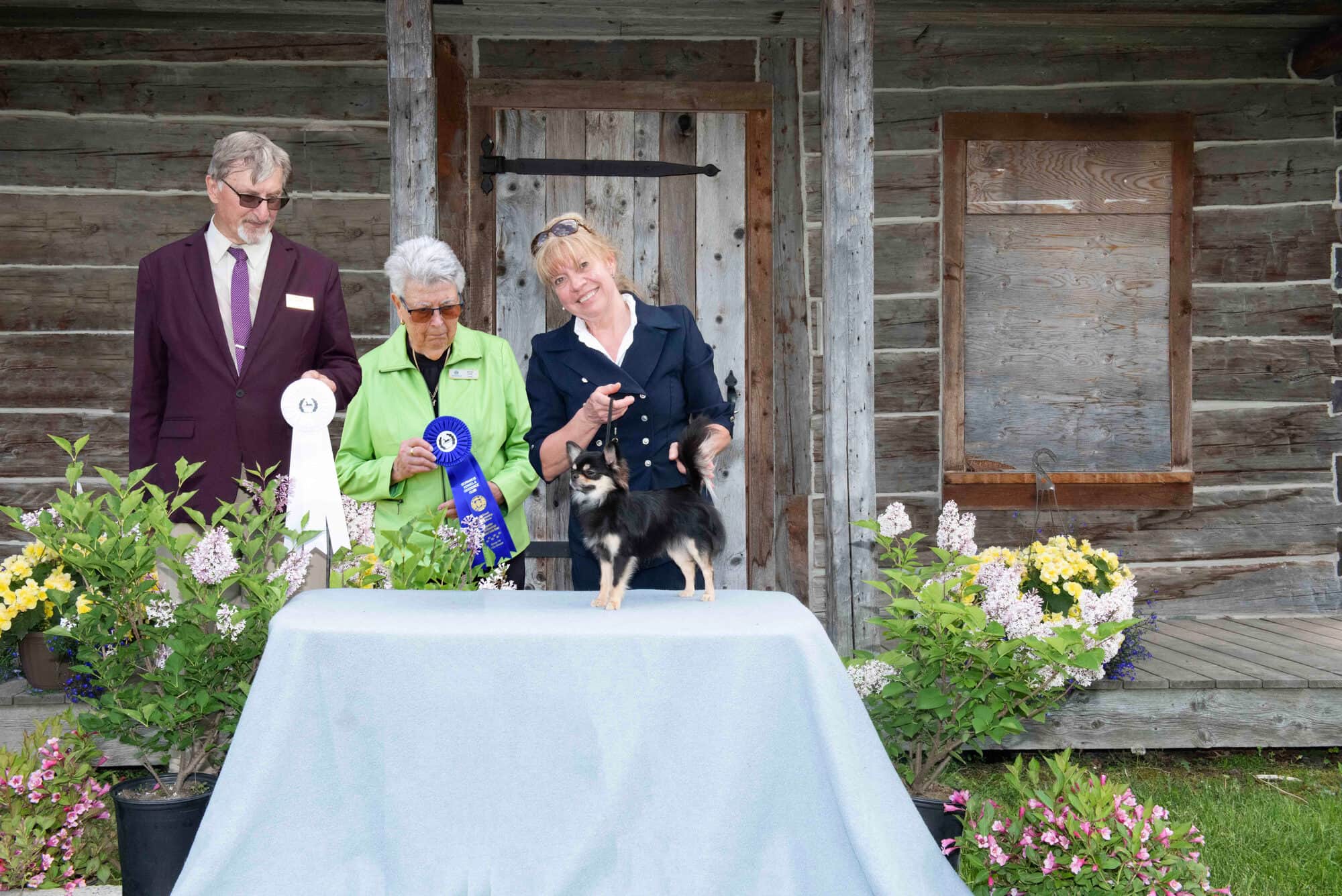Petite Marie primée en groupe à l'exposition de Brome — Élevage Deloka