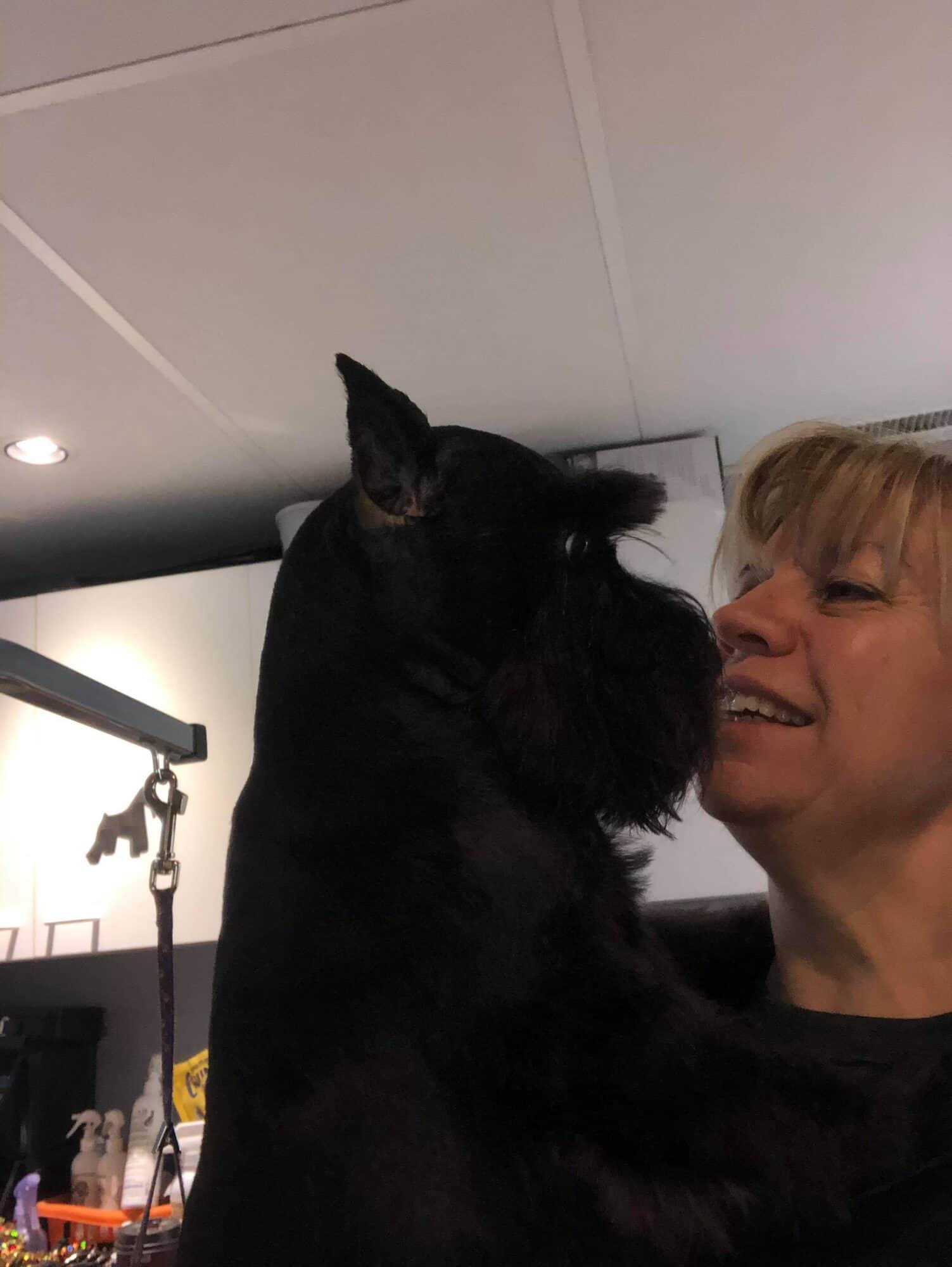 Hope, schnauzer nain noir, complice avec son éleveuse Carolyne Couture