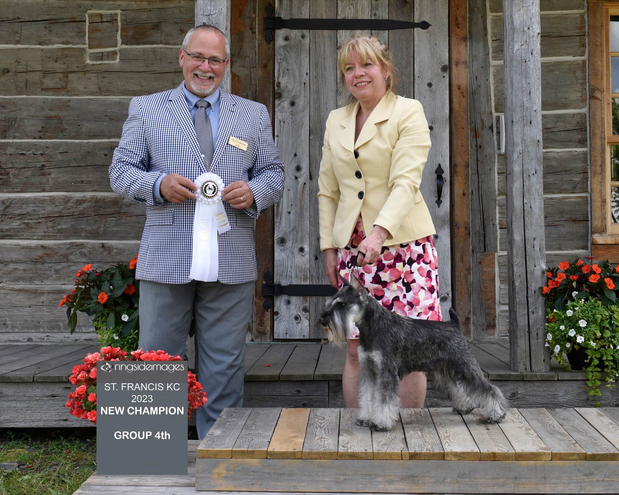Schnauzer nain Jon en exposition canine à Brome — Élevage Deloka