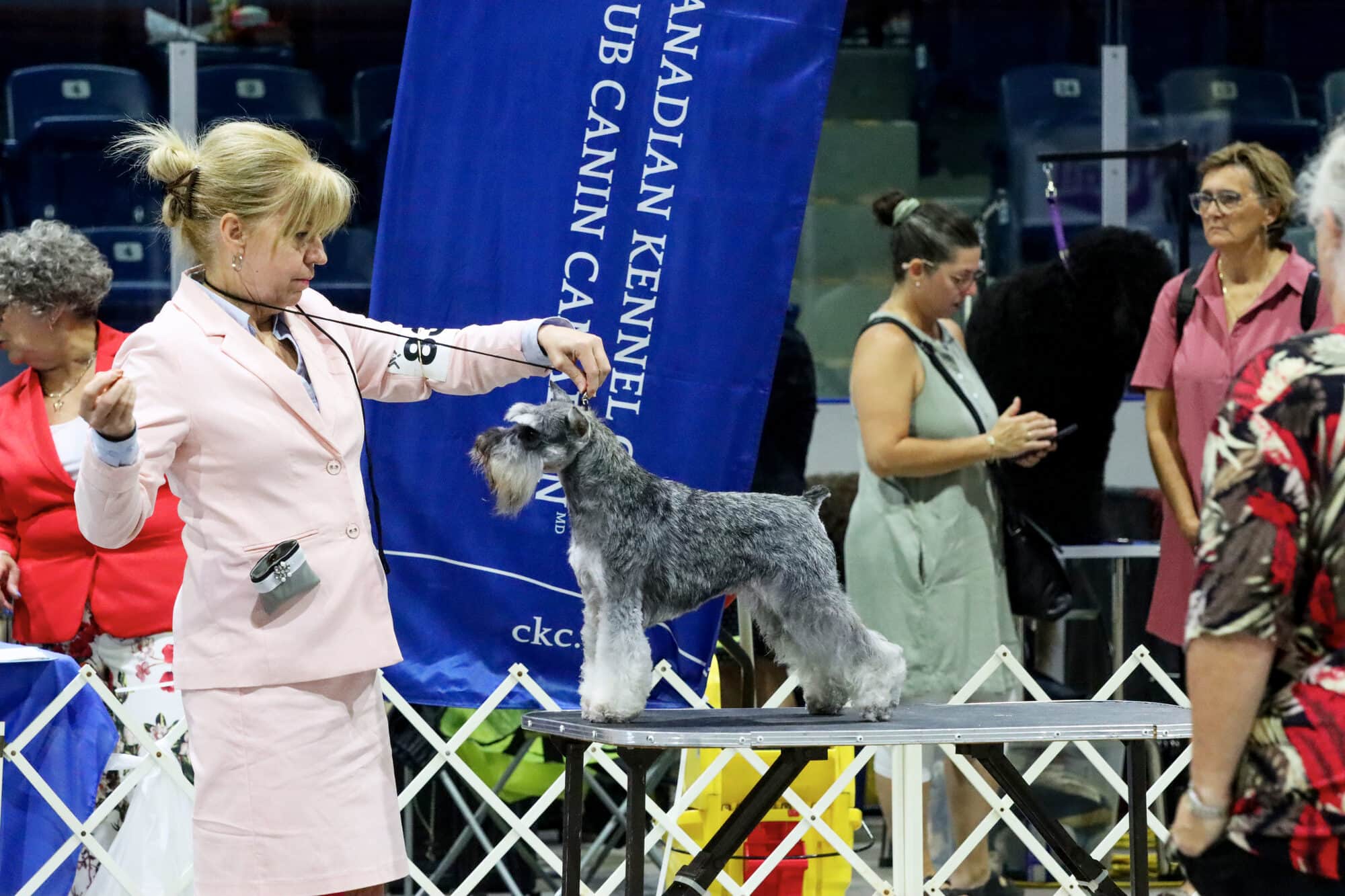Lucy en exposition sous la bannière du Club Canin Canadien — Élevage Deloka