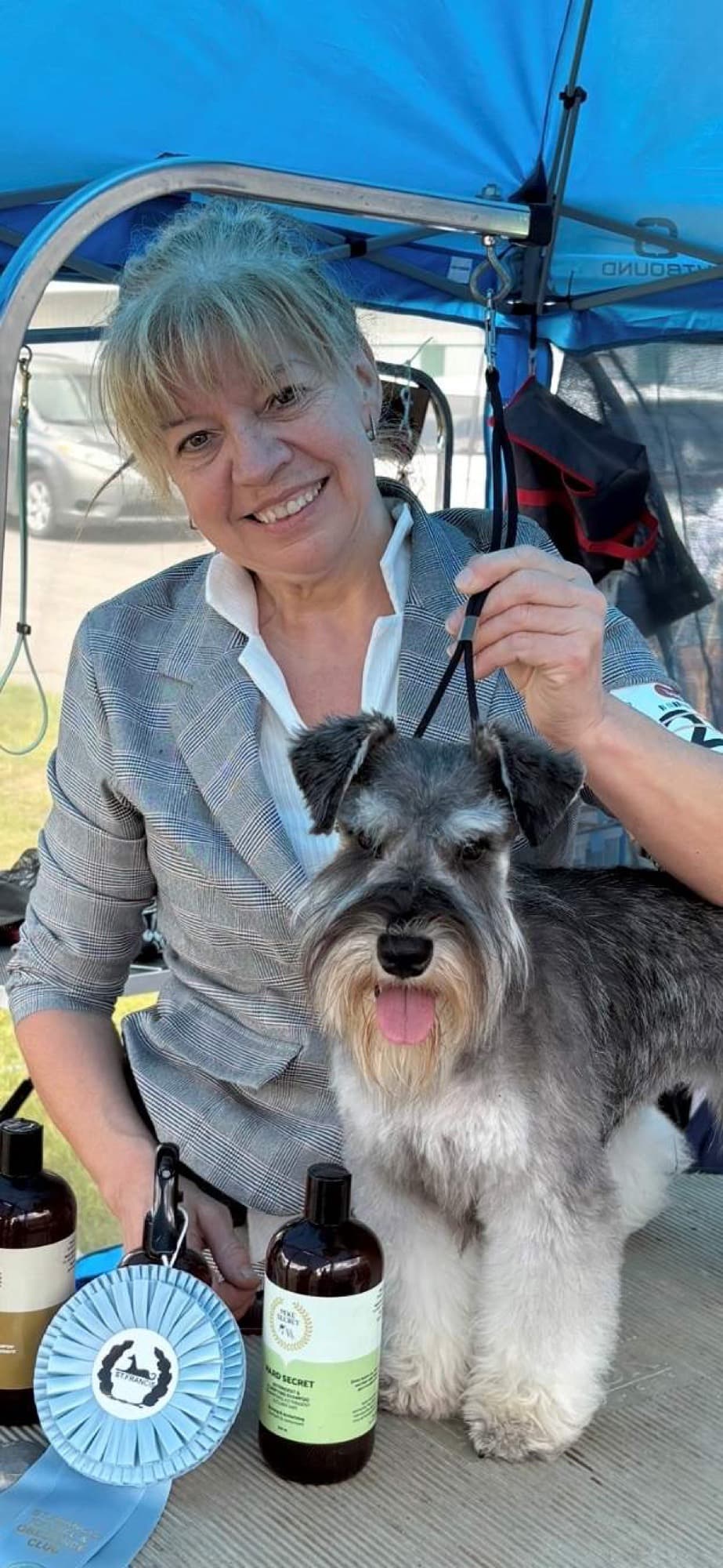 Femelle schnauzer nain au toilettage — Élevage Deloka