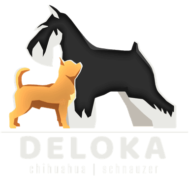 Logo Élevage Deloka