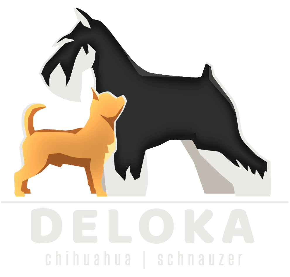 Logo de l'Élevage Deloka — schnauzer nain et chihuahua
